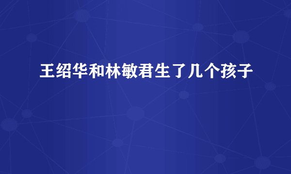 王绍华和林敏君生了几个孩子
