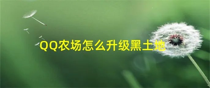 QQ农场怎么升级黑土地
