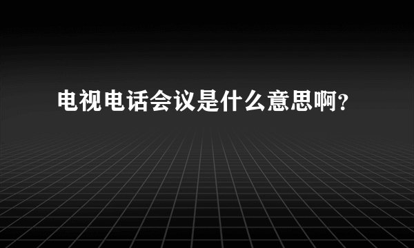 电视电话会议是什么意思啊？
