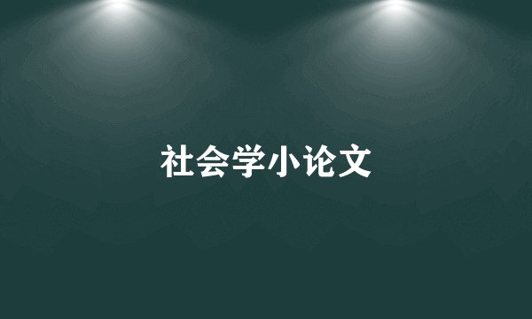 社会学小论文