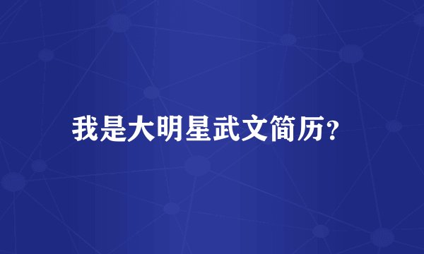 我是大明星武文简历?