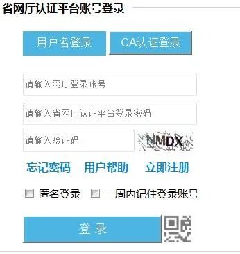 计划生育登记网上查询