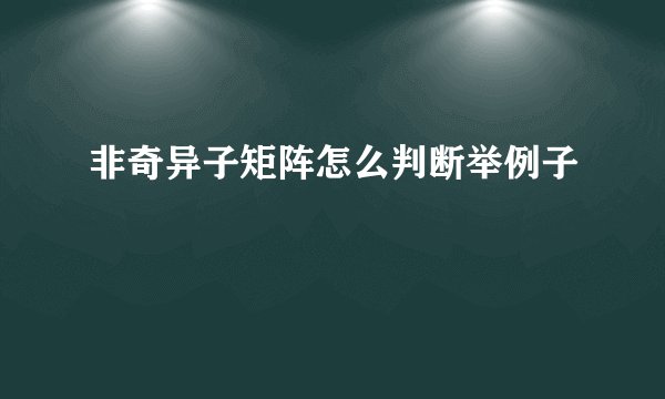 非奇异子矩阵怎么判断举例子