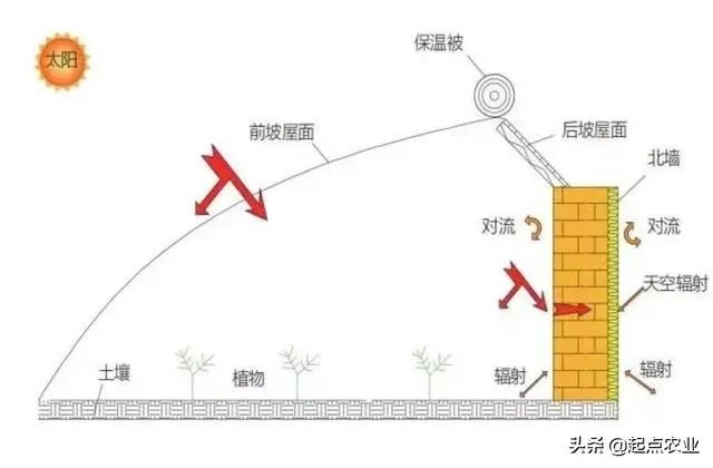 温室大棚的工作原理是什么?