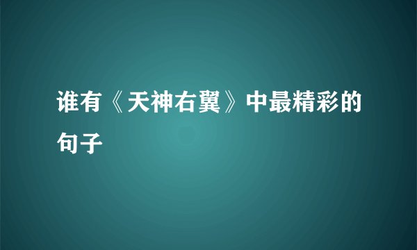 谁有《天神右翼》中最精彩的句子