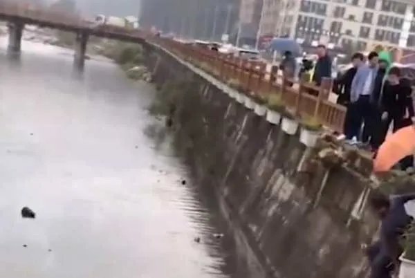 武汉女副区长旅游因事故身亡,到底发生了什么事故?
