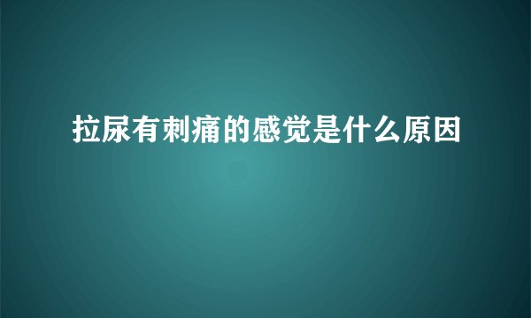 拉尿有刺痛的感觉是什么原因
