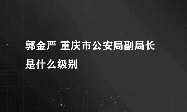 郭金严 重庆市公安局副局长是什么级别