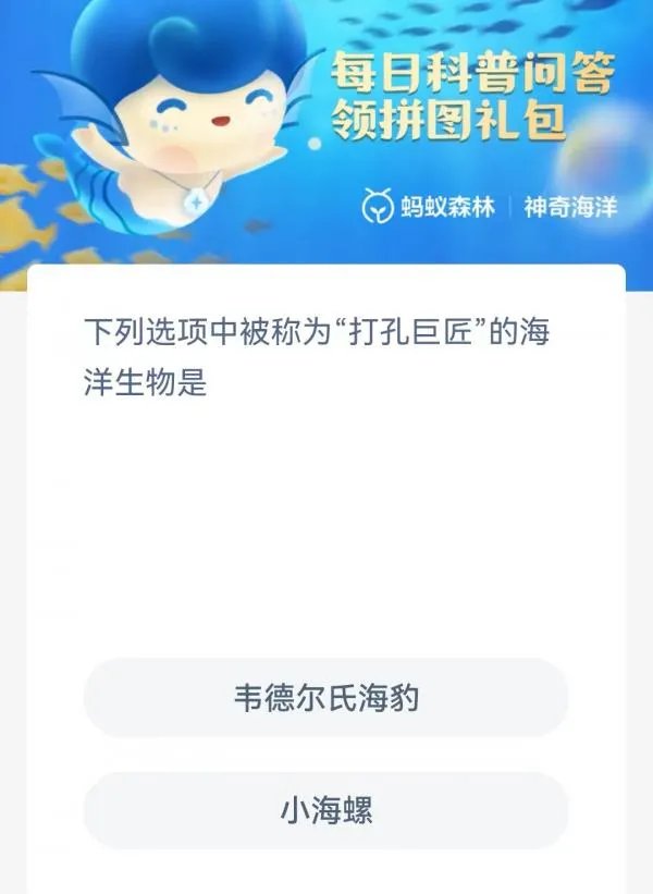 下列选项中被称为打孔巨匠的海洋生物是