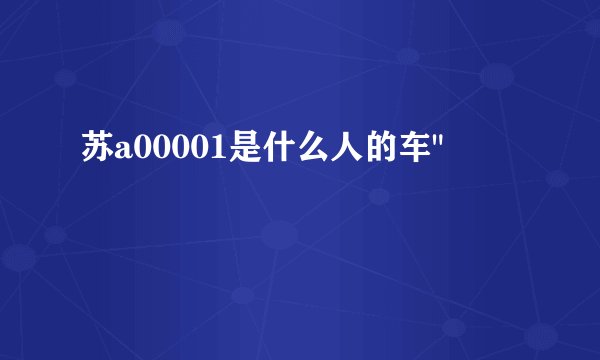 苏a00001是什么人的车