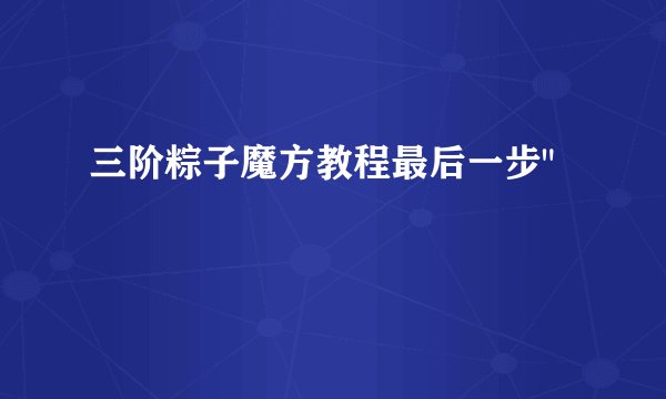 三阶粽子魔方教程最后一步