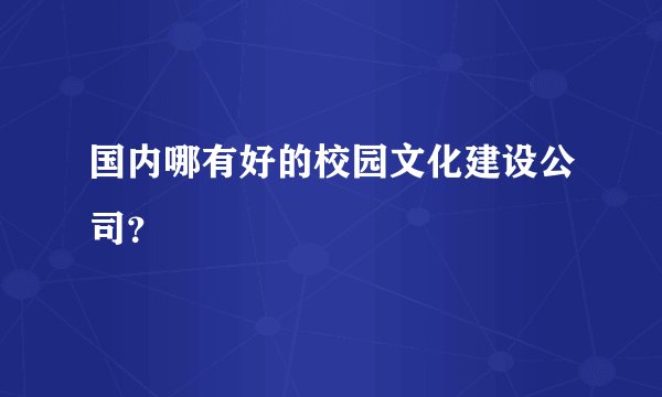 国内哪有好的校园文化建设公司？