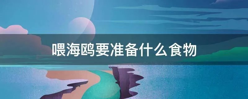 喂海鸥要准备什么食物