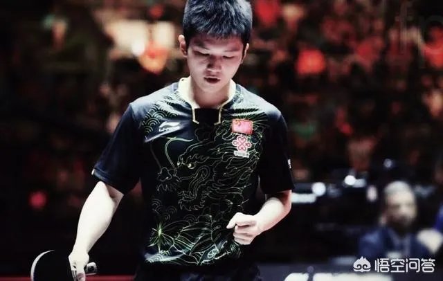 樊振东李子君