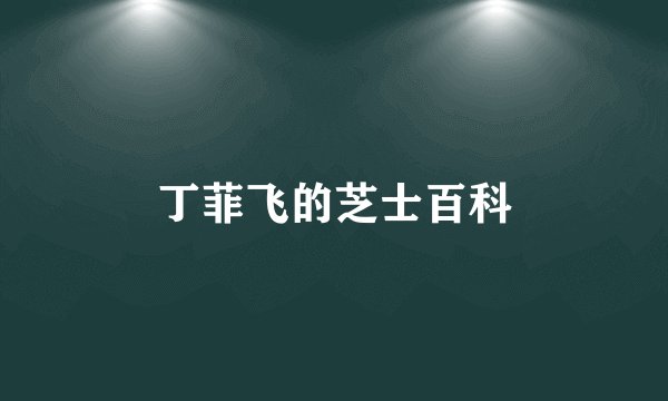 丁菲飞的芝士百科