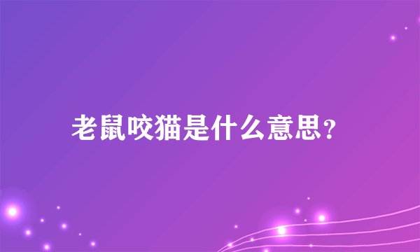 老鼠咬猫是什么意思？