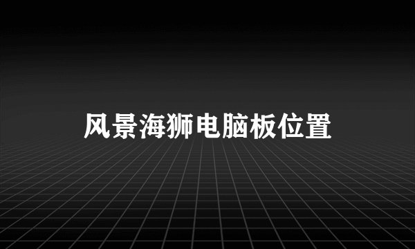 风景海狮电脑板位置