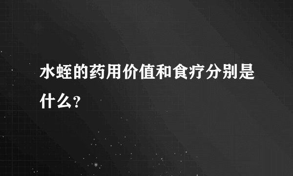 水蛭的药用价值和食疗分别是什么？
