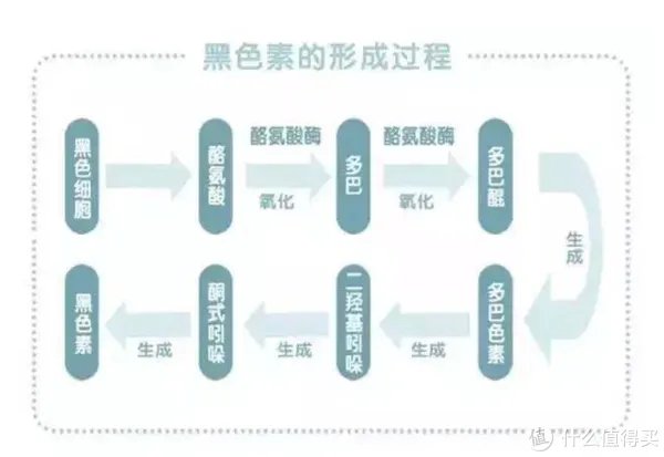真正有效的十大全身美白身体乳排名推荐,这个夏天就要白起来
