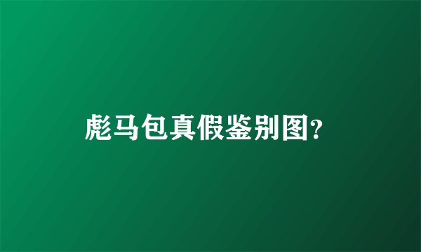 彪马包真假鉴别图?