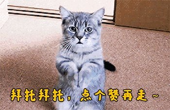 倪冰冰 上海交通大学