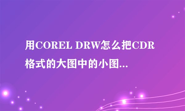 用COREL DRW怎么把CDR格式的大图中的小图提取出来，修改后打印啊~~？？