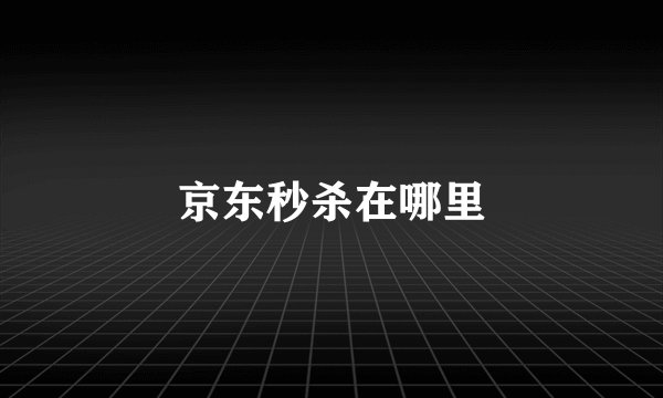 京东秒杀在哪里