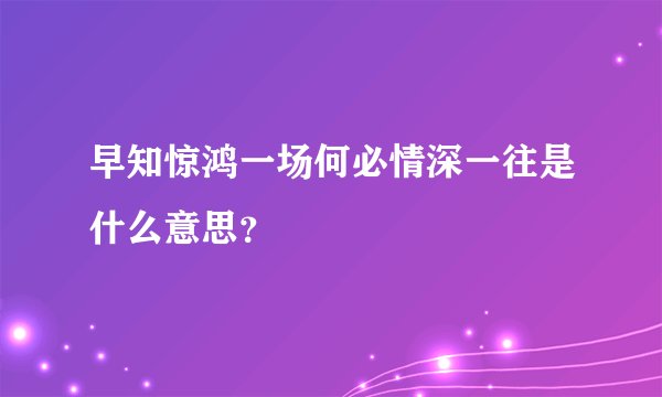 早知惊鸿一场何必情深一往是什么意思？