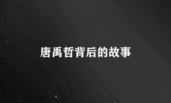 唐禹哲背后的故事