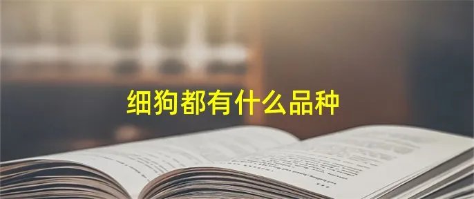 细狗都有什么品种