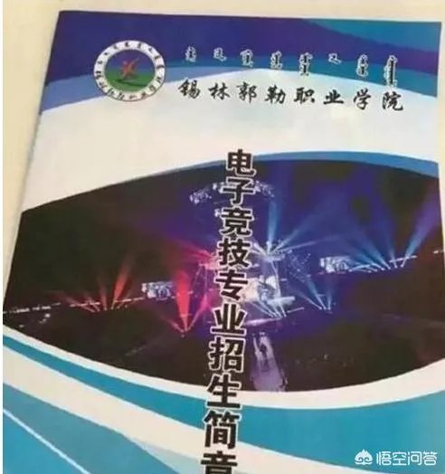 omg的老板是谁