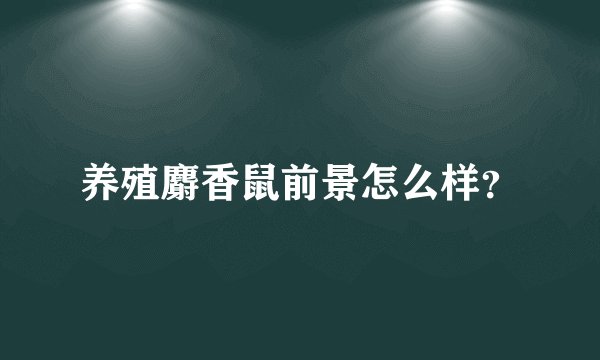 养殖麝香鼠前景怎么样？