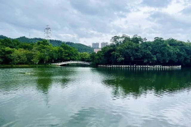 深圳十大钓鱼的地方 深圳野钓地点有哪些 水库钓鱼哪里好