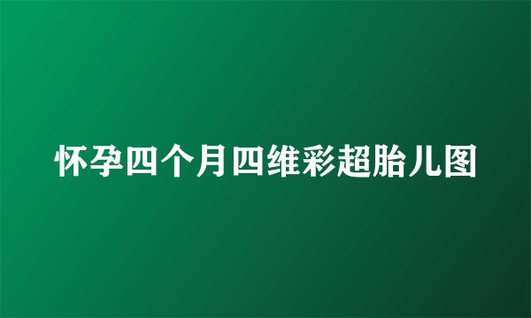 怀孕四个月四维彩超胎儿图