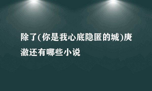 除了(你是我心底隐匿的城)庚澈还有哪些小说