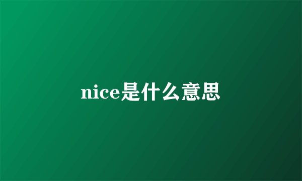 nice是什么意思