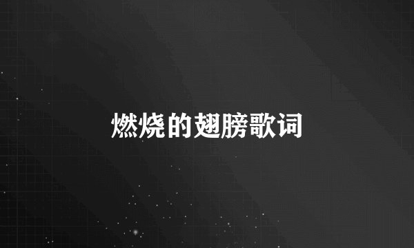 燃烧的翅膀歌词