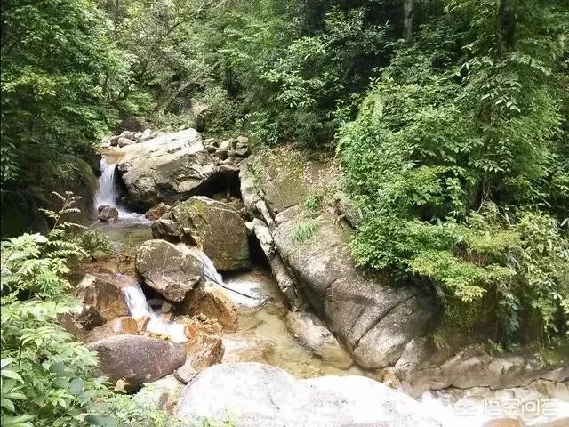 韶关国家森林公园值得去玩吗?