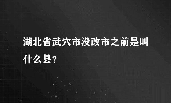 湖北省武穴市没改市之前是叫什么县？