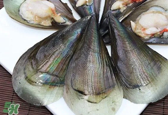 带子是什么海鲜?带子是什么东西