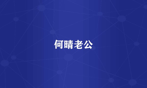 何晴老公