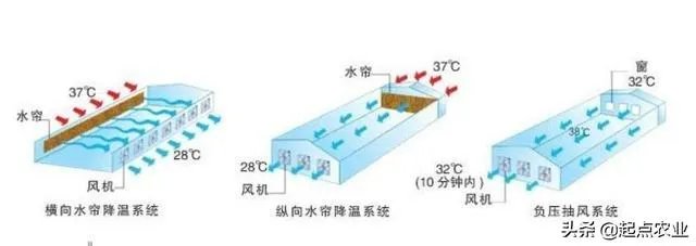 温室大棚的工作原理是什么?