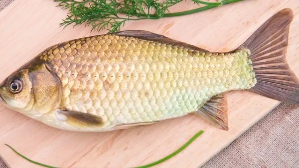 日常壮阳的食物有哪些?壮阳食物家常菜谱大全