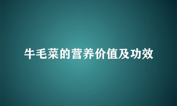牛毛菜的营养价值及功效