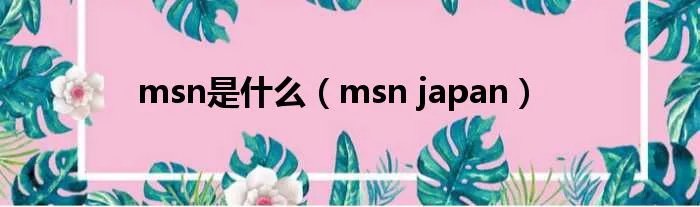 msn是什么(msn japan)