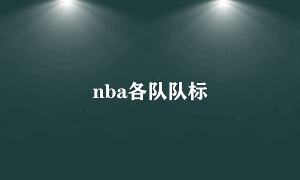 nba各队队标