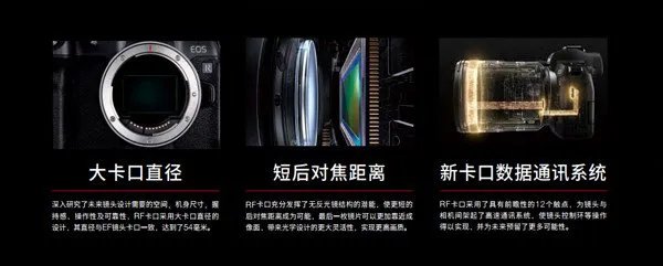 EOS R和其他的佳能资深单反之间怎么选择?