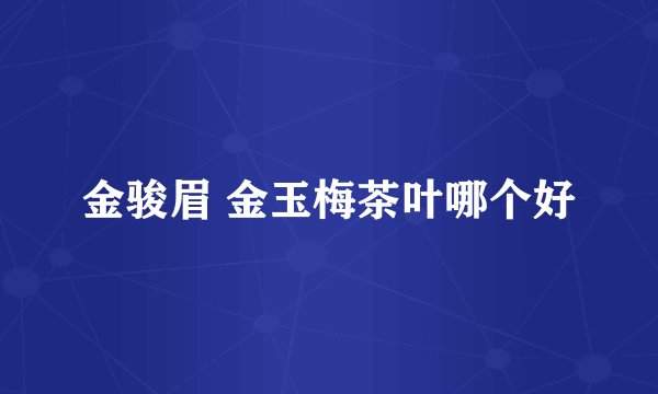 金骏眉 金玉梅茶叶哪个好