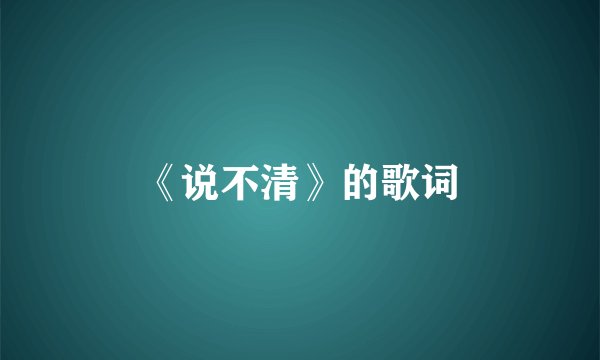 《说不清》的歌词