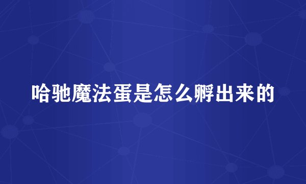 哈驰魔法蛋是怎么孵出来的